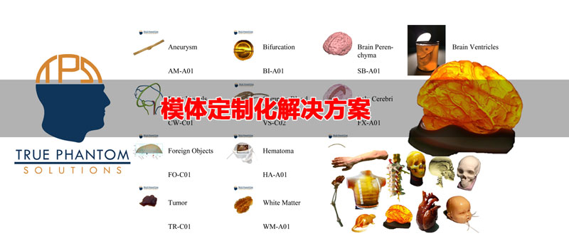 True phantom可以根據(jù)買方的研究或教育需求量身定制，以模仿健康的人體骨骼和不健康的人體骨骼