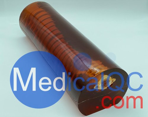 SE-A01成人脊柱模型,SE-A01成人脊柱模體，X射線，CT、MRI兼容