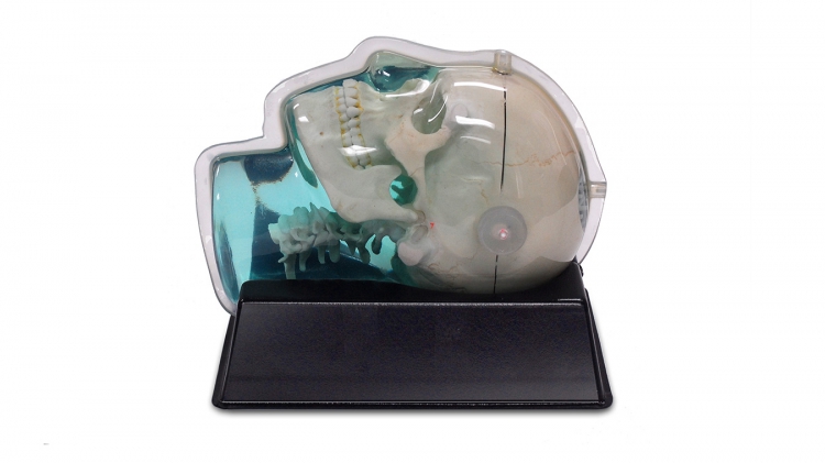 CIRS 603A頭部模體，CIRS 603A頭部MRI模體