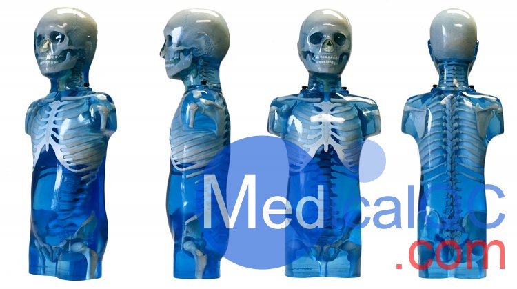 CIRS 715兒童彷真模體，CIRS 715兒童訓(xùn)練模體