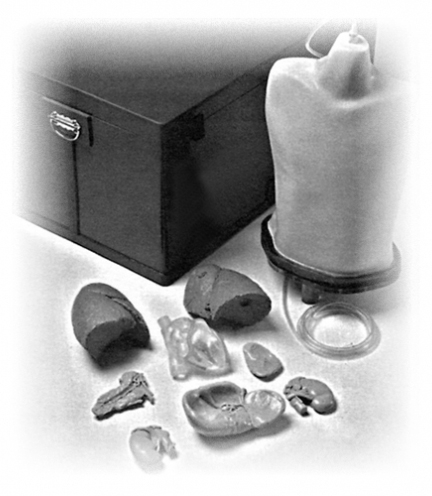 CIRS 602三維軀干模體，CIRS 602軀干模體