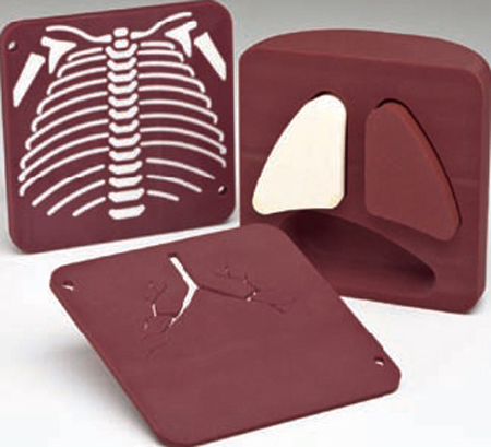 Gammex 610新生兒胸部模體，Gammex 610胸部模體