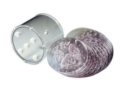 Hoffman 3-D腦模體，霍夫曼腦模體