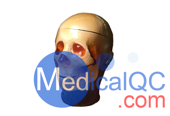 True phantom多功能頭部模體，True phantom頭部模體