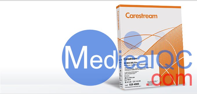 柯達BioMax MS膠片，BMS1 X射線膠片，Kodak BioMax MS科學膠片，Carestream自顯影膠片