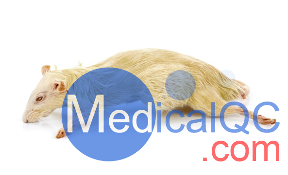 PlastiCreatures小動物塑化標本，PlastiCreatures模體