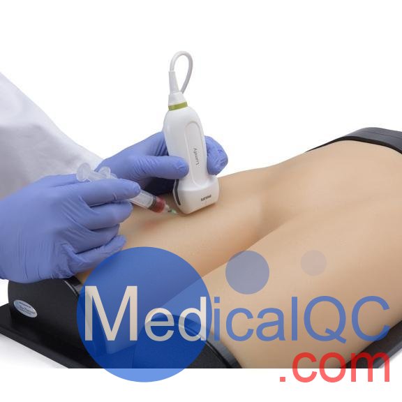 BPF1500-HP血管通路和區(qū)域麻醉超聲訓(xùn)練模體，BPF1500-HP區(qū)域麻醉超聲模體