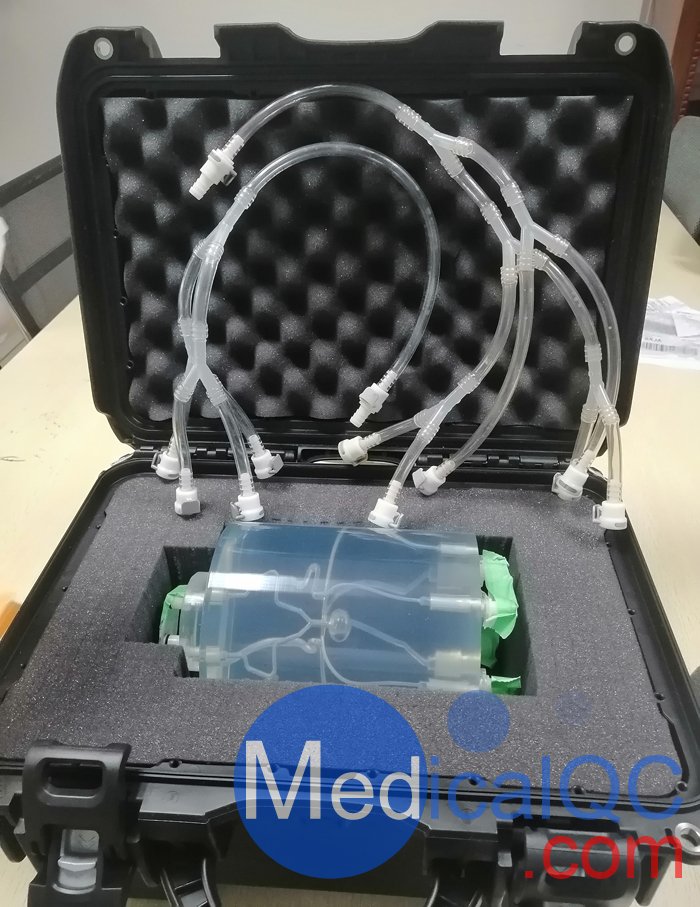 WEK-Blood顱內(nèi)血管模體,顱內(nèi)血流模體,顱內(nèi)血管流動(dòng)模體