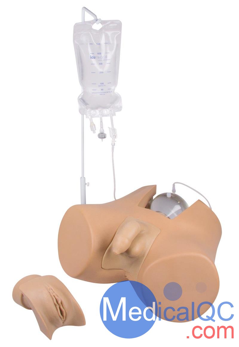 Henri Dunant膀胱插管模擬器，Nightingale導(dǎo)尿訓(xùn)練模體