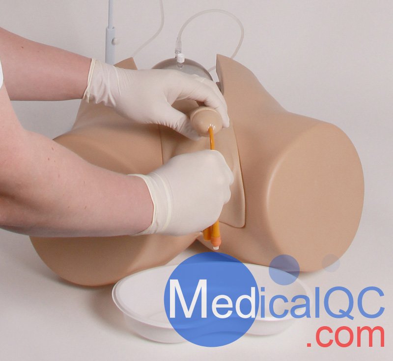 Henri Dunant膀胱插管模擬器，Nightingale導(dǎo)尿訓(xùn)練模體