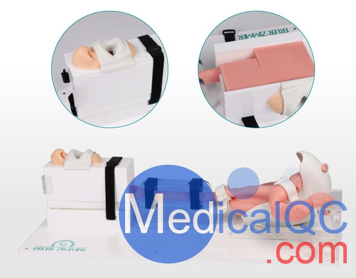 7150胃腸鏡模體，EGD模擬器，7150 EGD模體