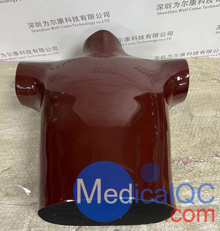 RSD RS-310胸/肺模體，RSD RS-310肺部模體實(shí)拍圖