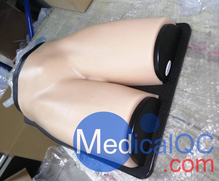 BPF1500-HP血管通路和區(qū)域麻醉超聲訓(xùn)練模體，BPF1500-HP區(qū)域麻醉超聲模體