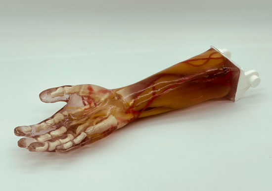 AR-A03成人手臂模型，AR-A03成人手臂模體，可超聲，CT成像手臂模型