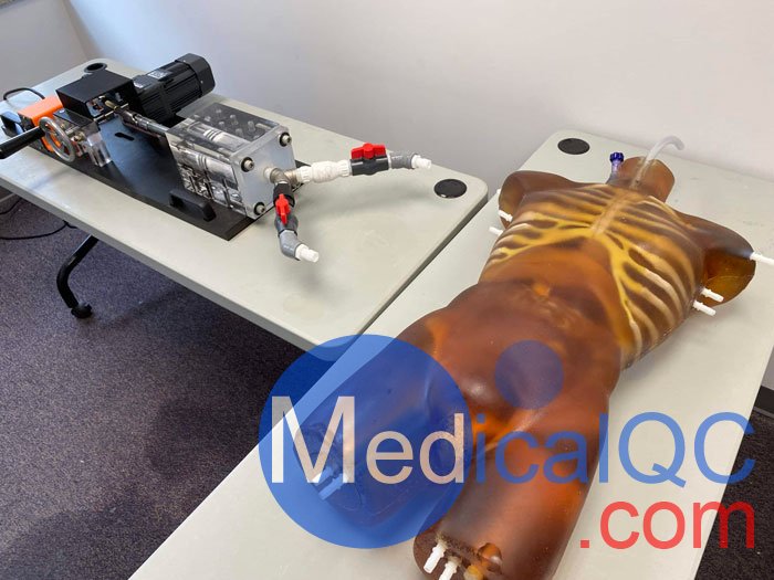 TO-A02成人軀干模體，TO-A02動(dòng)態(tài)心臟運(yùn)動(dòng)軀干模體