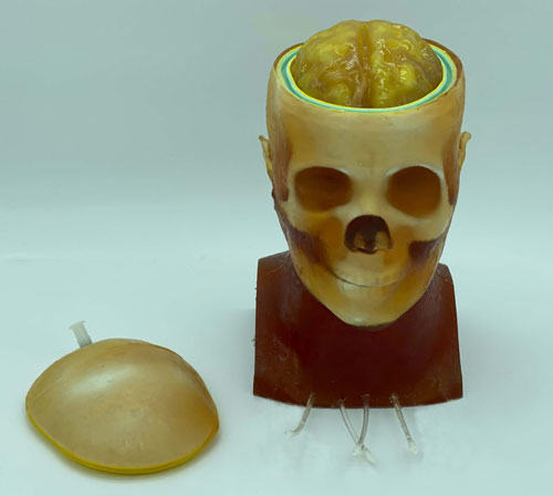 HD-C03成人頭模，HD-C03血管造影頭模，HD-C03頭部模體