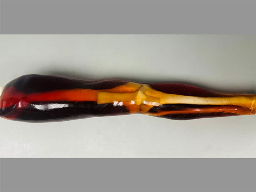 KE-A02成人膝關(guān)節(jié)模體，KE-A02腿部模型，KE-A02腿模體