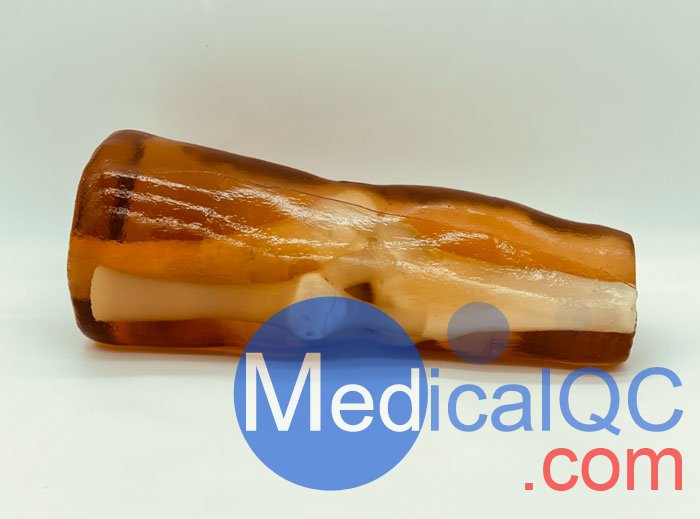 KE-A03成人膝關(guān)節(jié)，KE-A03膝關(guān)節(jié)模體,KE-A03膝關(guān)節(jié)模型成像效果圖