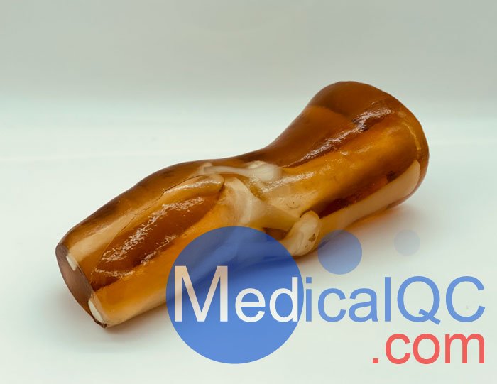 KE-A03成人膝關(guān)節(jié)，KE-A03膝關(guān)節(jié)模體,KE-A03膝關(guān)節(jié)模型成像效果圖