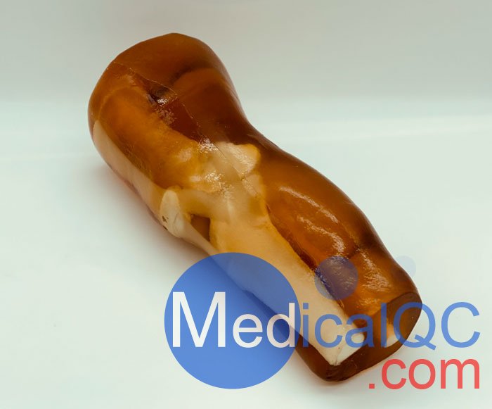 KE-A03成人膝關(guān)節(jié)，KE-A03膝關(guān)節(jié)模體,KE-A03膝關(guān)節(jié)模型成像效果圖