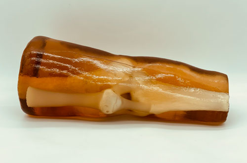 KE-A03成人膝關(guān)節(jié)，KE-A03膝關(guān)節(jié)模體,KE-A03膝關(guān)節(jié)模型