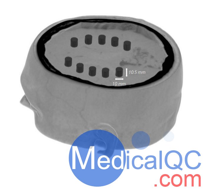 WEK-5005腦血管造影頭模，WEK-5005頭模， CTA AVM頭模