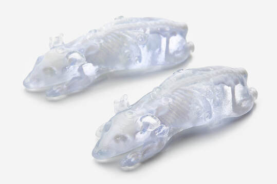 BioMouse模體,BioMouse小鼠模型，Phantech Bio-Mouse多功能小鼠模體