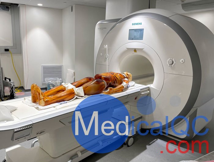 FB-A02成人全身模體,FB-A02全身CT模型，適用于X射線，CT,MRI