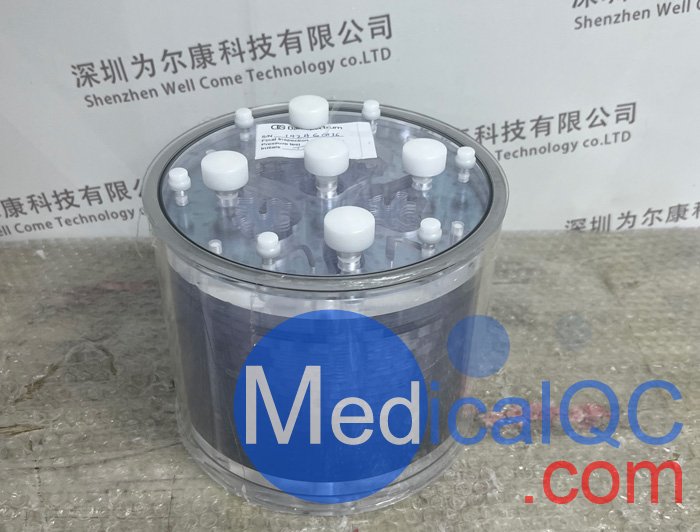 Hoffman 3-D腦模體，霍夫曼腦模體實(shí)物拍攝圖