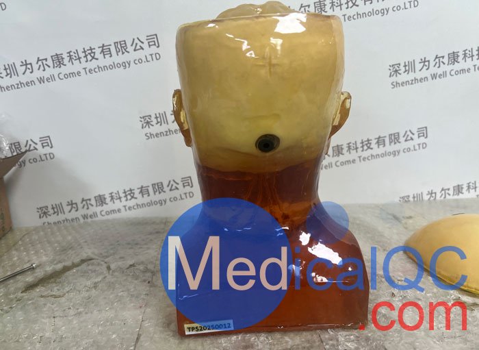 HD-C03成人頭模，HD-C03血管造影頭模，HD-C03頭部模體實(shí)拍圖
