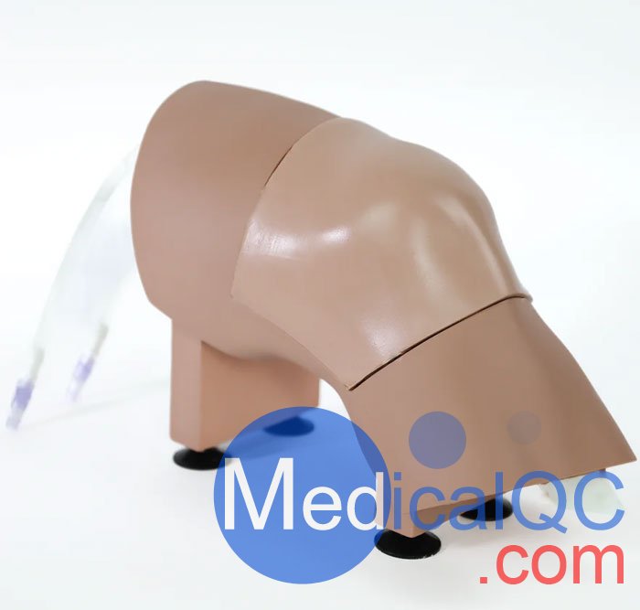 ARC-20-L關(guān)節(jié)穿刺訓(xùn)練模型，ARC-20-L膝關(guān)節(jié)穿刺訓(xùn)練模型