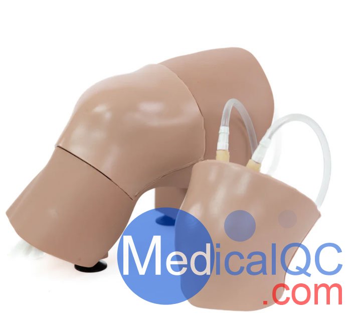 ARC-20-L關(guān)節(jié)穿刺訓(xùn)練模型，ARC-20-L膝關(guān)節(jié)穿刺訓(xùn)練模型