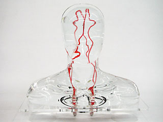 HB-1頭部血管模型，HB-1頭部體模，帶血管