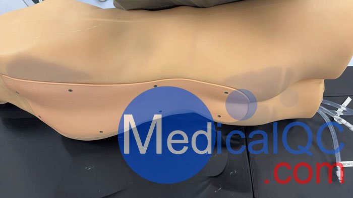 BPFAST1800創(chuàng)傷超聲重點評估訓(xùn)練模型,BPFAST1800訓(xùn)練模型實物拍攝圖