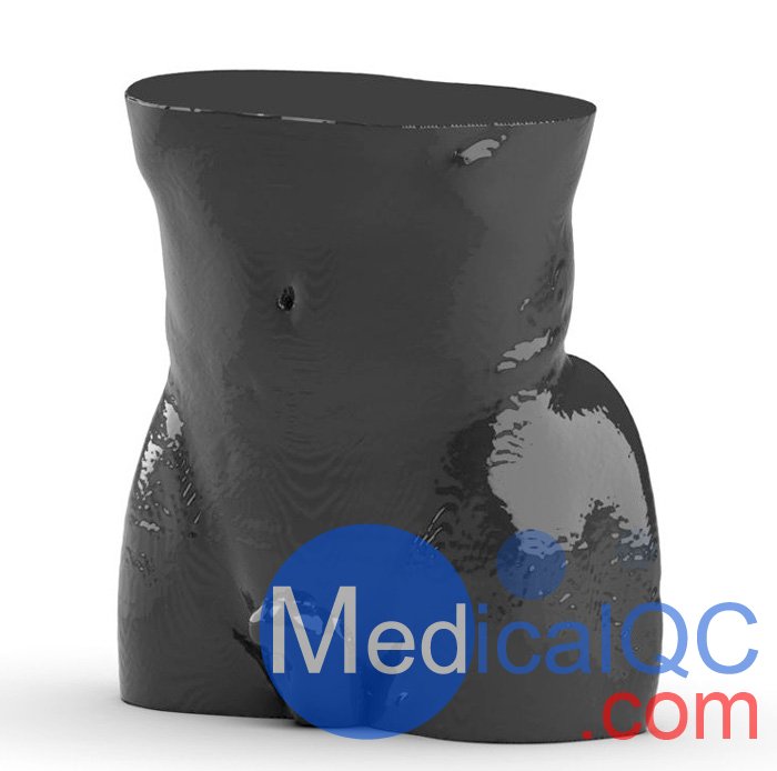 WEK-5501男性腹部模體，WEK-5501男性骨盤模體