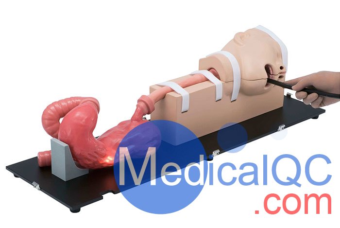 LM-103胃腸鏡模擬器，LM-103胃腸模體，EGD模擬器