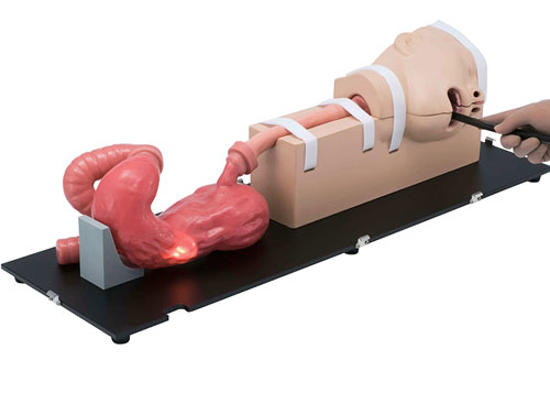LM-103胃腸鏡模擬器，LM-103胃腸模體，EGD模擬器