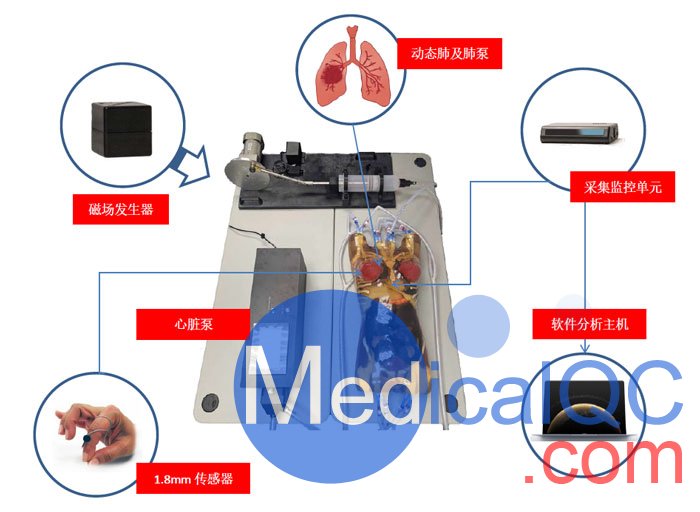 WEK-RLFMA02活動腫瘤靶模擬及定位系統(tǒng)，WEK-RLFMA02呼吸運動模體