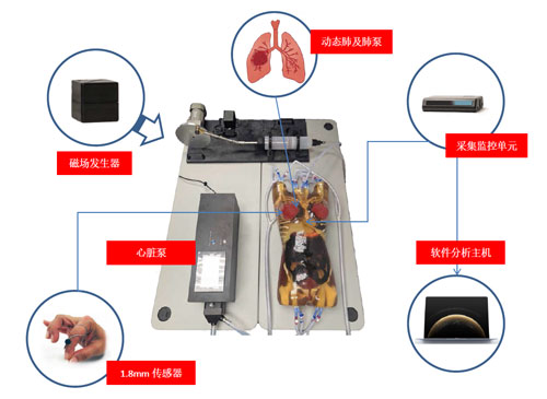 WEK-RLFMA02活動(dòng)腫瘤靶模擬及定位系統(tǒng)，WEK-RLFMA02呼吸運(yùn)動(dòng)模體