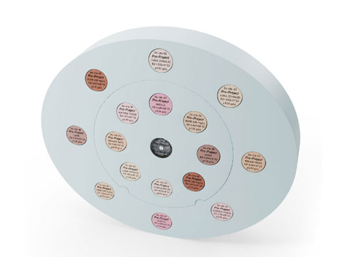 WEK-RTED電子密度模體，電子密度模體WEK-RTED