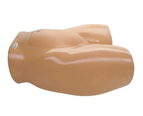 BP1610羊膜穿刺術(shù)訓(xùn)練模型,BP1610胎兒超聲培訓(xùn)模型